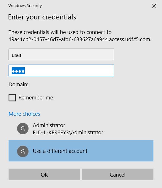 ../../_images/Win2019_RDP_Login.JPG